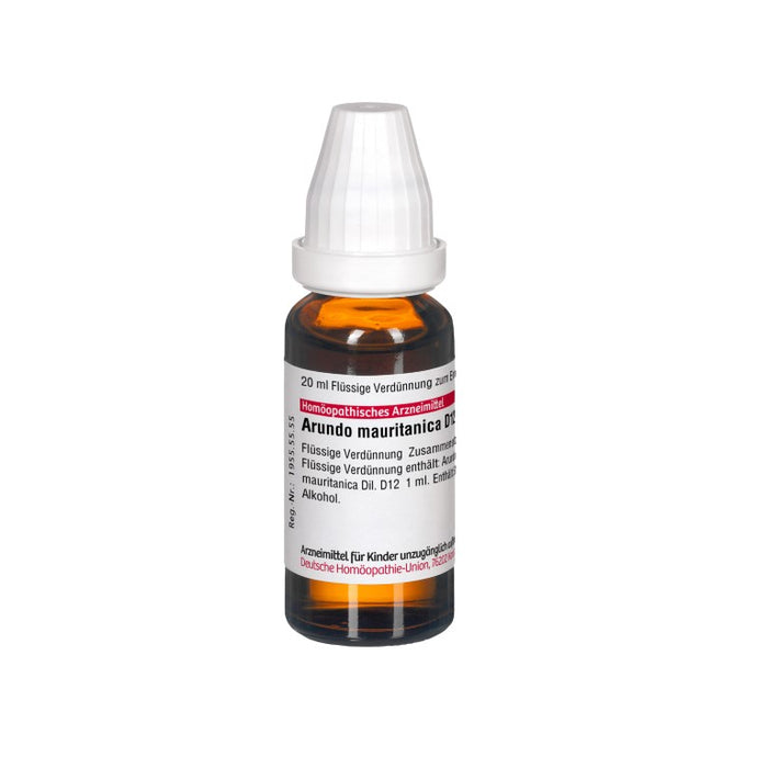 Arundo mauritanica D12 DHU Dilution, 20 ml Lösung