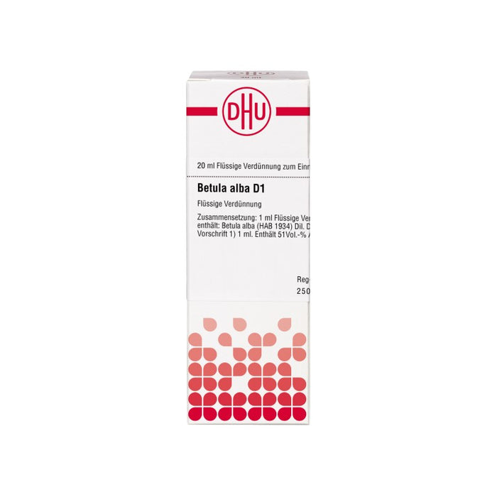 DHU Betula alba D1 Dilution, 20 ml Lösung