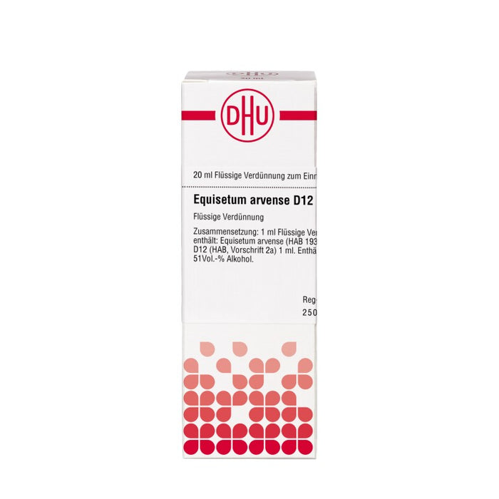 Equisetum arvense D12 DHU Dilution, 20 ml Lösung