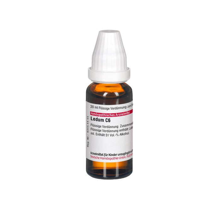 DHU Ledum C6 Dilution, 20 ml Lösung