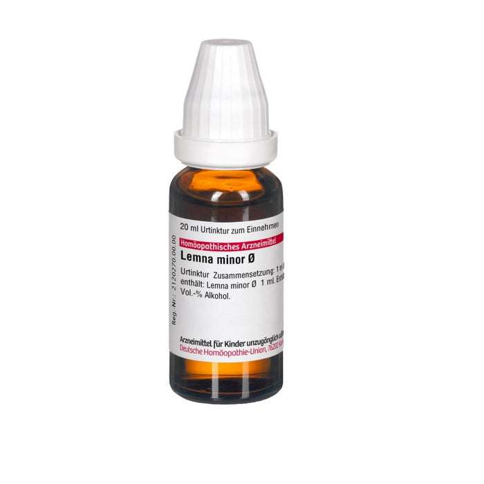 Lemna minor Urtinktur DHU, 20 ml Lösung