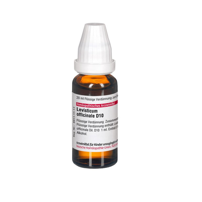 DHU Levisticum officinalis D10 Dilution, 20 ml Lösung