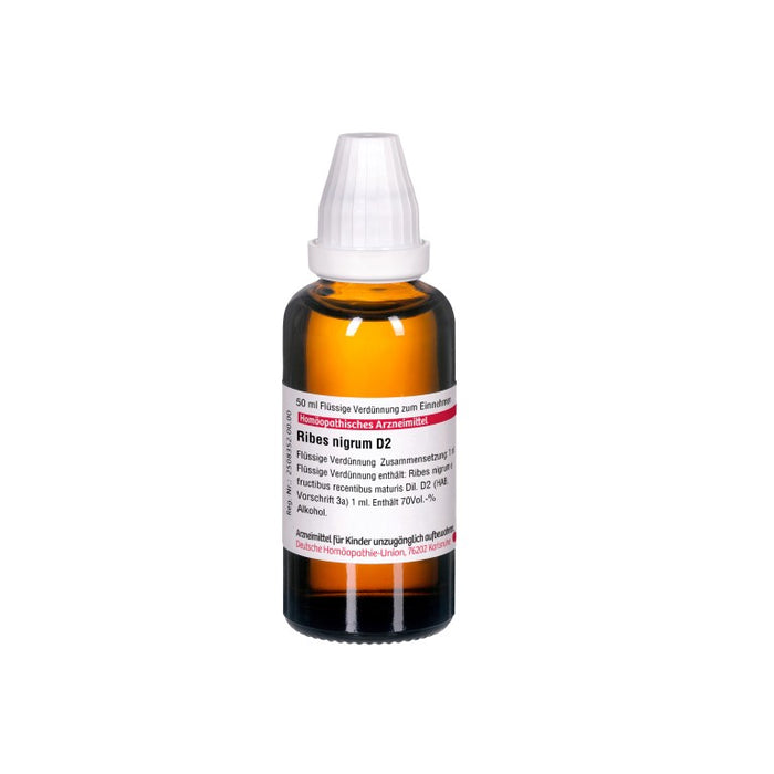 Ribes nigrum D2 DHU Dilution, 50 ml Lösung