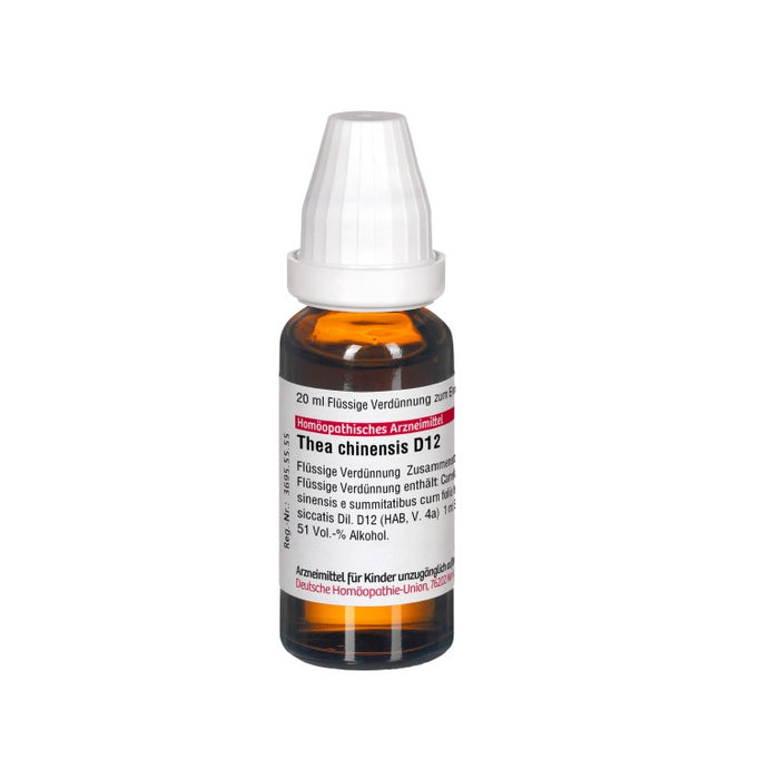 Thea chinensis D12 DHU Dilution, 20 ml Lösung