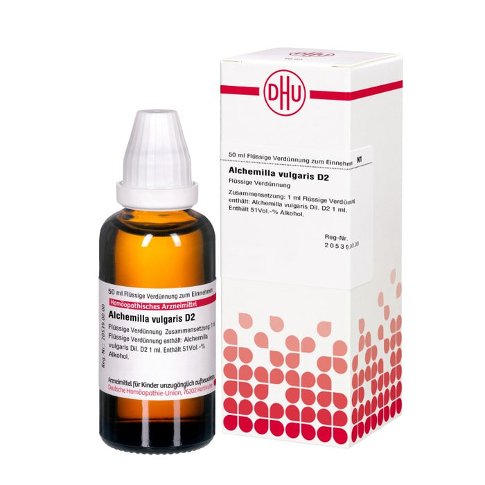 DHU Alchemilla vulgaris D2 flüssige Verdünnung, 50 ml Lösung