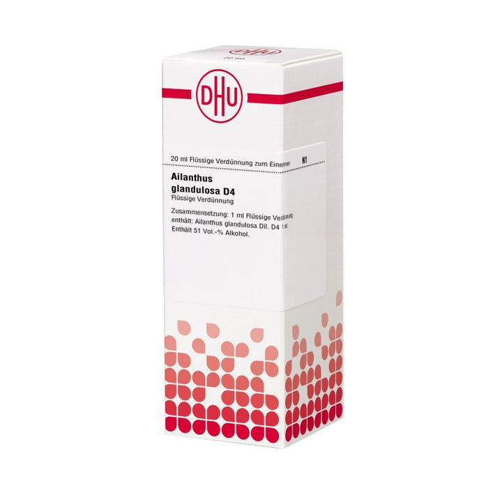Ailanthus glandulosa D4 DHU Dilution, 20 ml Lösung