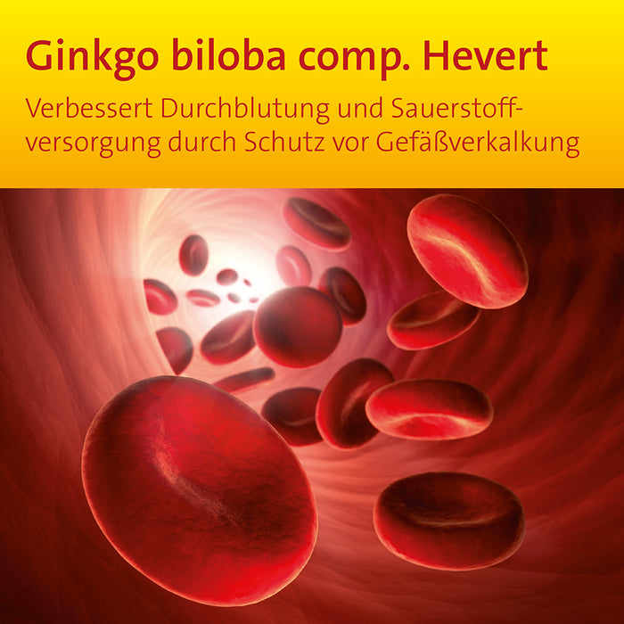 Ginkgo biloba comp. Hevert bei Gefäßverkalkung, 100 ml Lösung