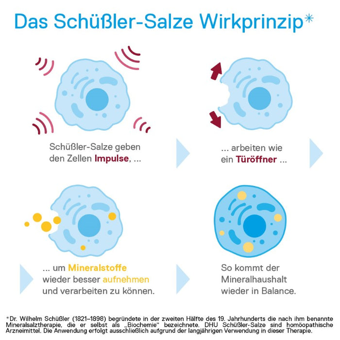 DHU Schüßler-Salz Nr. 2 Calcium phosphoricum D6 – Das Mineralsalz der Knochen und Zähne – das Original – umweltfreundlich im Arzneiglas, 420 St. Tabletten