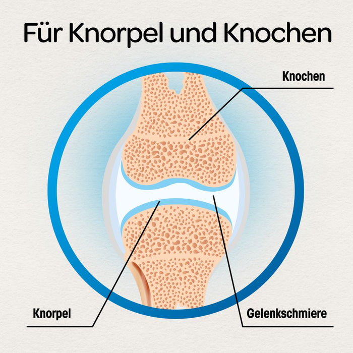 Dr Böhm Gelenke & Knorpel Tabletten, 120 St. Tabletten