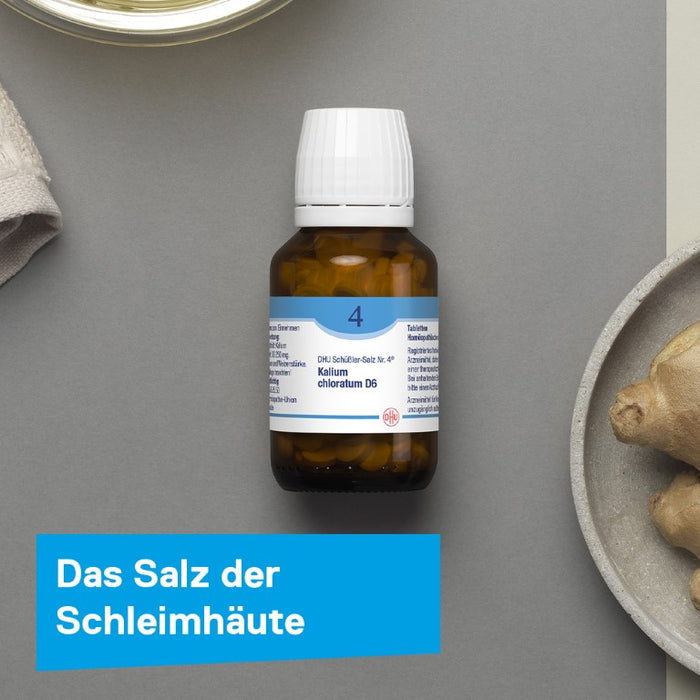 DHU Schüßler-Salz Nr. 4 Kalium chloratum D12 – Das Mineralsalz der Schleimhäute – das Original – umweltfreundlich im Arzneiglas, 420 St. Tabletten