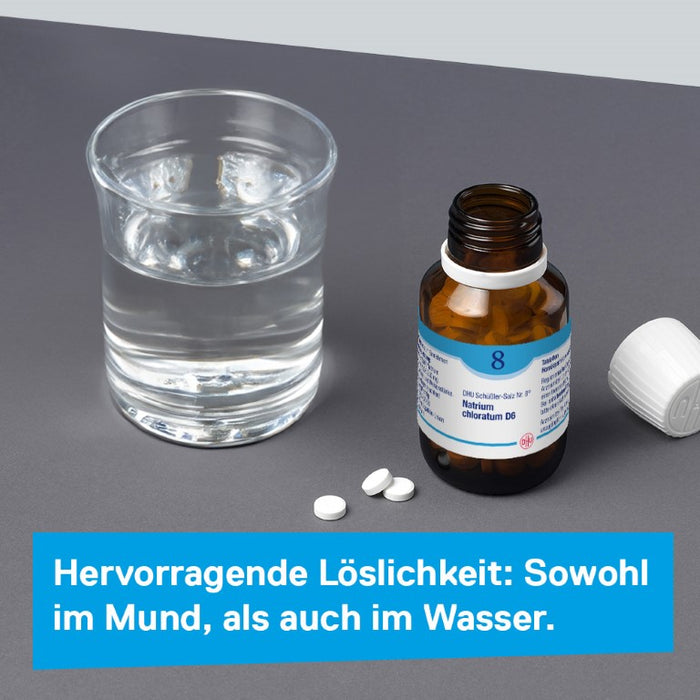 DHU Schüßler-Salz Nr. 8 Natrium chloratum D12 – Das Mineralsalz des Flüssigkeitshaushalts – das Original – umweltfreundlich im Arzneiglas, 420 St. Tabletten